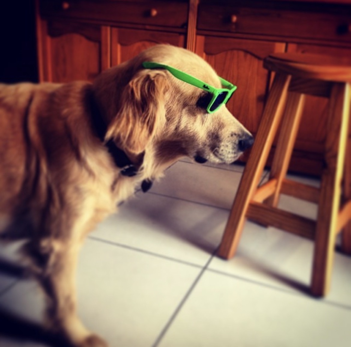 la época verde