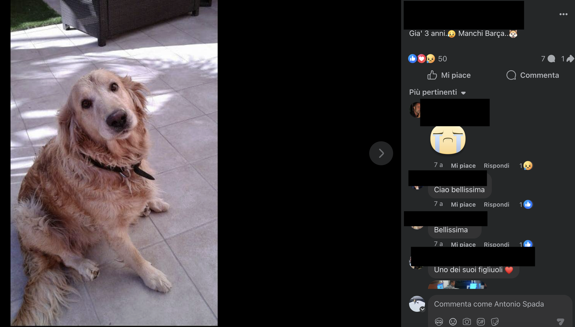 Mom's 2019 post