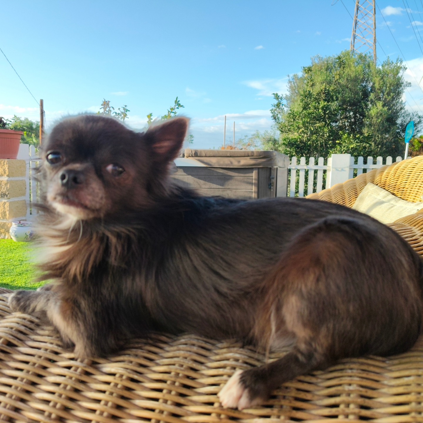 teodoro